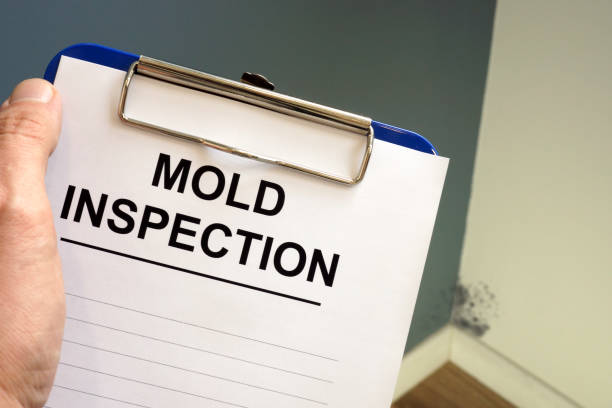 Best Mold Removal for HVAC Installations  in West Laurel, MD